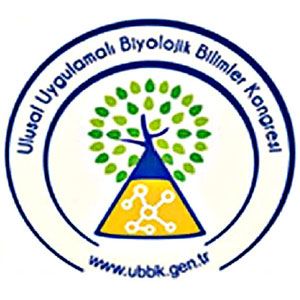 UBBK